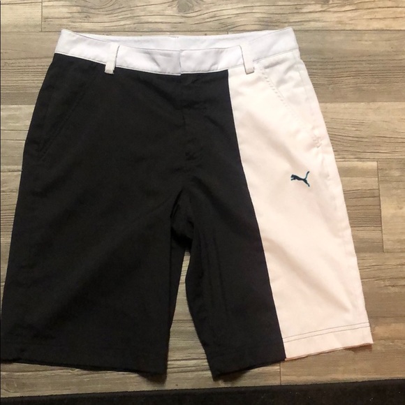 puma dri fit shorts